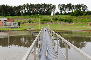 Image showing Sewage treatment and bird 
