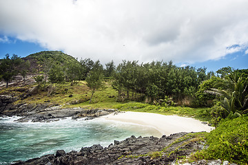 Image showing Small sandy beach between frozen lava flows of tropical volcanic