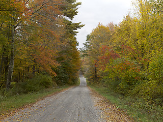 Image showing  Autumn, New England