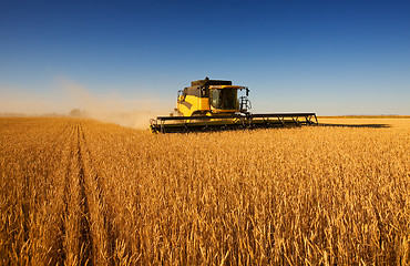 Image showing Harvest work