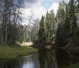 Image showing Spring on the Long-river