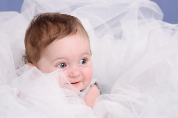 Image showing Infant in tulle