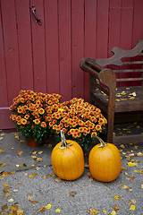 Image showing Fall, Pumpkin 