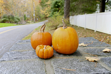 Image showing Fall, Pumpkin 