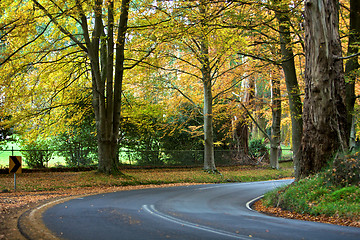 Image showing Autumn