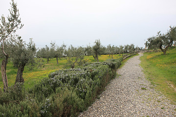 Image showing Sirmione