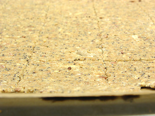 Image showing Rolled out  dough of wholemeal crispbread on a baking tray