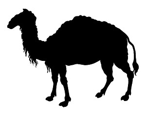 Image showing The black silhouette of a camel on white