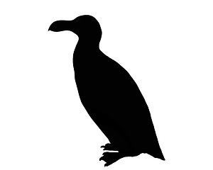 Image showing Razorbill as black silhouette on white background