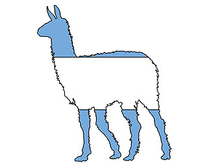 Image showing Lama Argentina