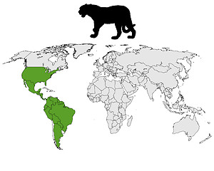 Image showing Jaguar distribution