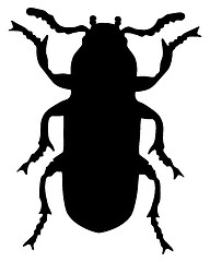 Image showing Mealworm silhouette