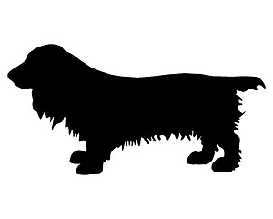 Image showing Field Spaniel Silhouette