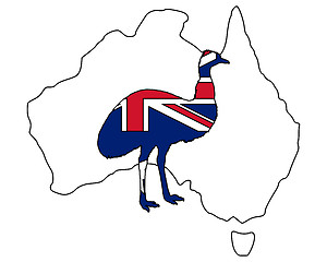 Image showing Australian Emu