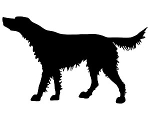 Image showing The black silhouette of an Irish Red Setter