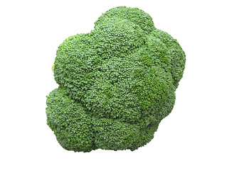 Image showing One green broccoli isolated on white background
