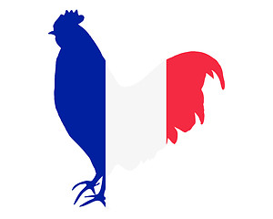 Image showing French cock