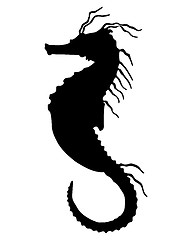 Image showing Seahorse Silhouette