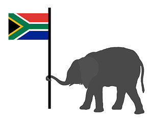 Image showing Elephant baby with flag of south Africa