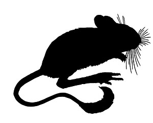 Image showing Dipodid silhouette