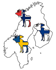 Image showing Scandinavian moose