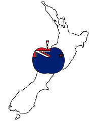 Image showing New Zealand apple