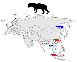 Image showing Tiger range