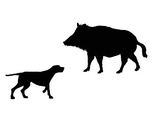 Image showing Two animals, setter and boar meet face to face 