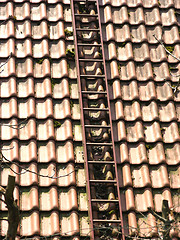 Image showing A ladder on the roof of a house