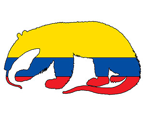 Image showing Anteater  Ecuador