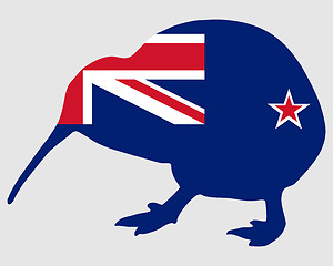 Image showing New Zealand kiwi