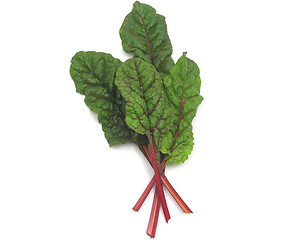 Image showing Four red stemmed chard leaves crossed on white background
