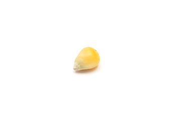 Image showing Detailed but simple image of  popcorn on white