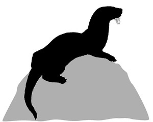 Image showing Otter on rock