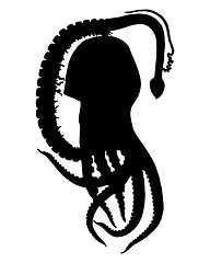 Image showing Blanket octopus Silhouette