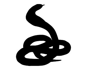Image showing The black silhouette of a cobra on white