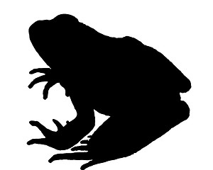 Image showing Frog silhouette