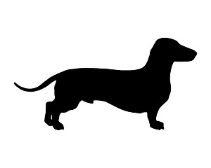 Image showing The black silhouette of a shortlegged Badger Dog