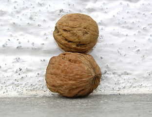 Image showing Two stapled walnuts in front of white wall