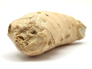 Image showing Ginger on white