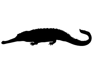 Image showing Gharial silhouette