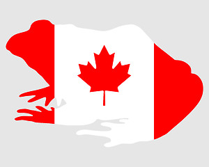 Image showing Bullfrog Canada