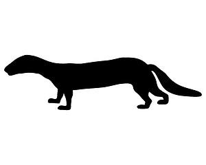 Image showing Polecat silhouette