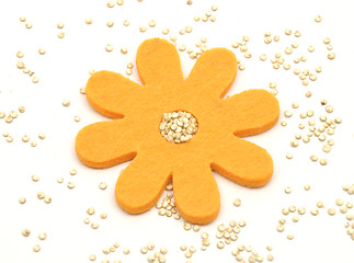 Image showing Quinoa and felt decoration