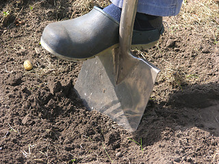 Image showing Cutout man with spade doing work in the garden