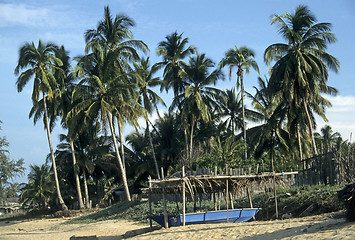 Image showing Palmbeach in Malaysia