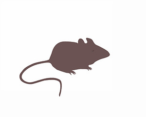 Image showing Mouse