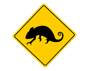 Image showing Chameleon warning sign