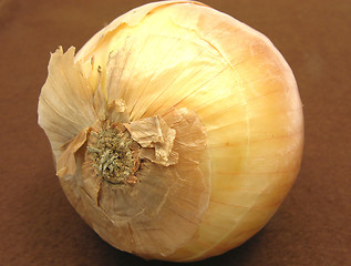 Image showing One onion arranged on a brown cloth
