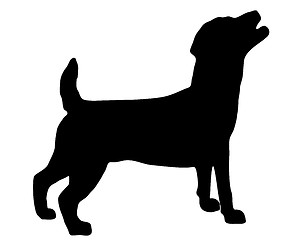 Image showing Jack Russel Terrier Silhouette